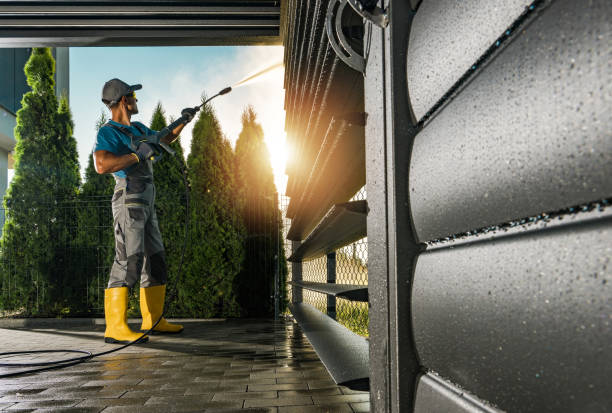 Best Rust Removal  in Whitehall, MI